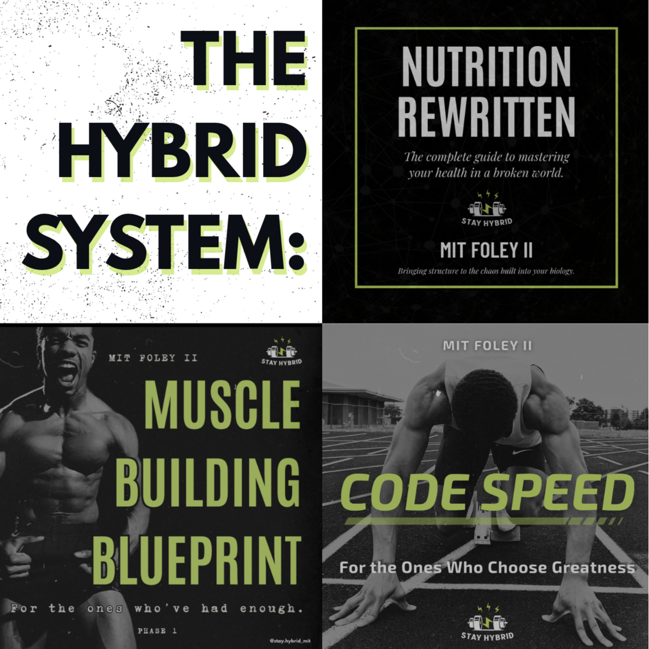 The Hybrid System