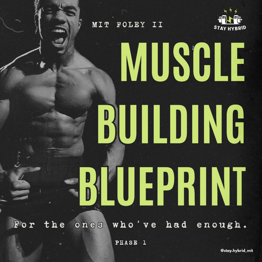 Muscle Building Blueprint