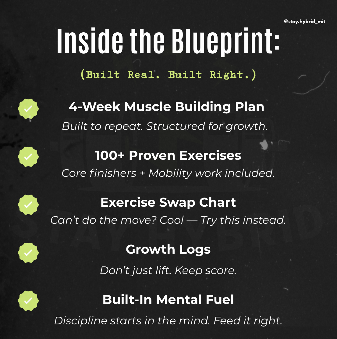 Muscle Building Blueprint